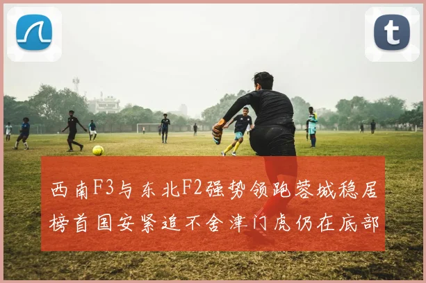 西南F3与东北F2强势领跑蓉城稳居榜首国安紧追不舍津门虎仍在底部挣扎